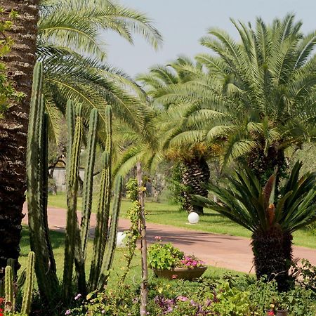 Tenuta Ricco With Pool And Garden Cursi Exterior photo